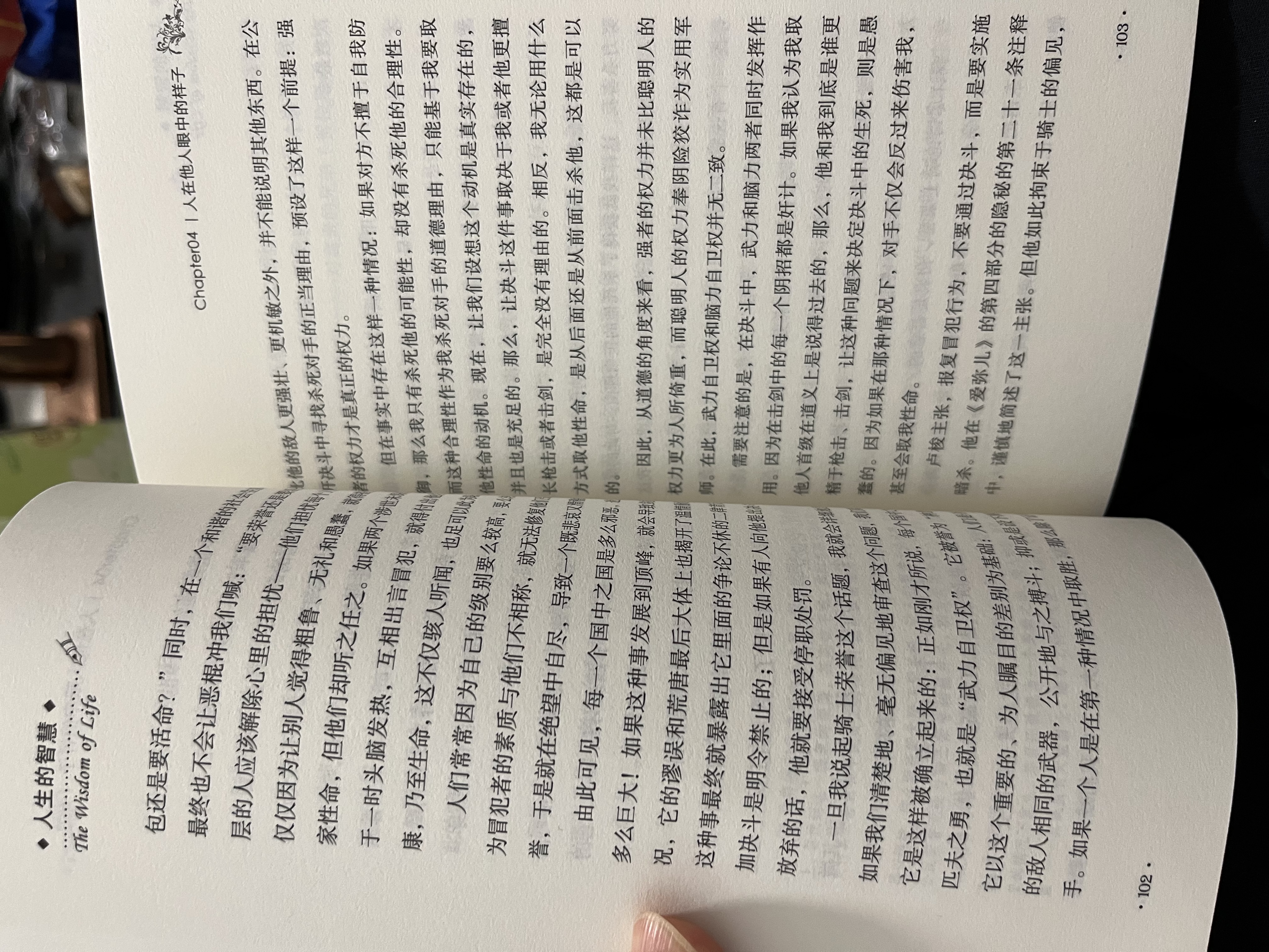 人生的智慧：大哲学家叔本华花甲之年的成名作（京东定制） 实拍图