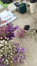 爱满（AIMAN）满天星天然干花花束ins网红生日 新房装饰摆件风干真插花家居摆设 白+紫+桃红满天星  【不带花瓶】 实拍图