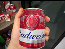 百威啤酒mini红罐淡色拉格255ml*24听小罐整箱装京东自营喜酒 实拍图