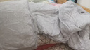 水星家纺羽绒被95%白鹅绒被子冬季加厚冬被芯双人羽绒被220cm×240cm1100g 实拍图