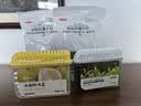 京东京造 家卫士ice冰箱除味剂活性炭除味冰箱除味盒 清新绿茶 180g*1 实拍图