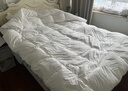 京东京造暖暖90%抗菌羽绒被 冬季被子被芯白鸭绒-冬被1kg填充2*2.3m 实拍图