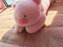 名创优品（MINISO）福莉丝猪系列趴姿公仔毛绒玩具玩偶抱枕娃娃生日礼物女 实拍图