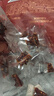 良品铺子猪肉片脯肉干肉片猪肉铺靖江特产解馋高蛋白休闲零食小包装小吃 【原切后腿肉|麻辣味】大凉山风干猪肉片298g(50-60包) 实拍图