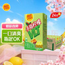 维他奶维他手指柠檬茶饮料250ml*24盒 甄选大红袍 全新上市 家庭聚会 实拍图