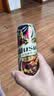 乌苏啤酒（wusu）楼兰秘酿烈性啤酒330ml*1罐 京东自营 实拍图