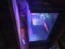 金刚侠酷睿i5/i7/i9级18核电竞独显吃鸡台式机电脑主机组装全套黑神话游戏家用设计办公整机 主机+32英寸显示器全套 套餐4：i9级24芯丨32G丨756G丨550Ti 实拍图