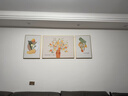 猫九酱奶油风客厅装饰画简约现代小清新花卉三联画高级感沙发背景墙挂画 实拍图