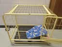 京喜自营-专用品牌狗笼子室内带厕所中大型犬加固狗屋送货上门 加固款黄色【78*50*67】 实拍图