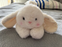 名创优品（MINISO）塔尼兔系列趴姿公仔毛绒玩具玩偶兔子娃娃抱枕生日礼物女 实拍图