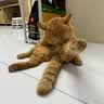 ZEZE猫窝冬季保暖猫咪半封闭加厚猫床蒙古包安全感冬天宠物窝 实拍图