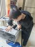 安吉尔 净水器滤芯厨下系老A6  V6 J1205 V3P J2577 净水器家用厨房净水器滤芯 【咨询客服领优惠价】 UF超滤膜 实拍图