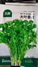 北蔬香菜种子苗老品种四季盆栽大叶芫荽阳台菜籽 大叶香菜籽种子600粒 实拍图