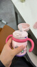 babycare儿童保温杯婴儿宝宝吸管水杯霸王龙不锈钢保温杯300ml-新旧款混发 实拍图