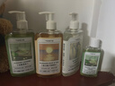气味图书馆白衬衫香氛沐浴露295ml水香沐浴液全身清洁留香男女士洗澡通用 实拍图