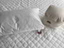 MUJI羽毛枕 星级酒店枕芯全棉羽绒羽毛枕柔软鸭毛枕头枕芯 48*74cm 实拍图