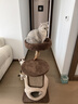 兽牌云端实木猫爬架小户型猫架带窝猫咪抓柱猫架子猫树猫窝猫抓板一体 小树屋【实木柱+大窝】 实拍图