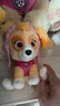 汪汪队立大功（PAW PATROL）毛绒玩具狗狗陪睡玩偶经典款天天小号坐姿可爱公仔男女孩生日礼物 实拍图