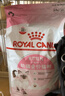 皇家幼猫猫粮 幼猫奶糕 K36 通用粮 4-12月 2KG 实拍图