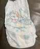 帮宝适（Pampers）清新帮拉拉裤婴儿尿不湿纸尿裤弹力裤 XXL68片【清新帮拉拉裤】 实拍图