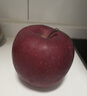 京鲜生 甘肃天水花牛苹果 又大又红 6粒尝鲜装 单果160-190g 生鲜水果 实拍图