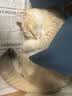 欢宠网猫窝狗窝冬季保暖封闭式窝冬天猫屋猫房子猫咪狗狗睡觉垫宠物通用 实拍图