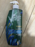 海飞丝去屑0硅油洗发水650ml菁纯丝滑男士女士洗头膏控油蓬松京东自营 实拍图