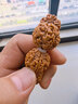 山中玉金刚菩提手串尼泊尔菩提子原籽龙鳞纹盘文玩大五瓣精品新年礼物 五瓣爆肉20-21mm 实拍图