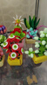 尚韵儿童多肉盆栽乐高积木花束拼装玩具男孩女孩花盆生日礼物6-8-12岁 实拍图