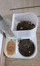 疯狂的主人自动喂食器猫碗猫咪饮水机猫狗食盆大容量饮水一体自动出粮猫狗碗 实拍图