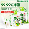滴露（Dettol）洗手液抑菌滋润茉莉绿茶500g 儿童洗手液消毒 滋润护手米奇米妮版 实拍图