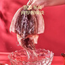 北海印象北海淡干墨鱼干乌贼目鱼干海产干货煲汤食材 端午节送礼礼品团购 M1墨鱼干500g*1袋约2-4只 实拍图