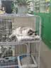 京喜自营-专用品牌猫笼子超大室内猫别墅多层猫舍送货上门 方管款-白色双层78*55*100 套餐二：七件套 实拍图