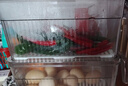 佳帮手透明冰箱收纳盒食品级冰箱保鲜盒厨房收纳水果蔬菜鸡蛋储物盒 实拍图