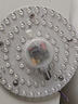 雷士（NVC）LED灯盘吸顶灯替换灯芯磁吸灯板圆形贴片40瓦三色光-全光谱-Ra97 实拍图