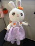 威尔通（WELTSTON）毛绒玩具布娃娃抱枕安抚玩偶儿童生日礼物礼品女生 小白兔子公仔 实拍图