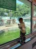 泰兰尼斯儿童学步鞋秋季男童机能鞋贝壳头防踢女宝宝婴儿鞋子黑色24 实拍图