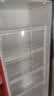 扬子冷藏柜展示柜大容量商用保鲜柜便利店立式啤酒水饮料柜透明玻璃门超市便利店冰箱汽水柜冰柜 【风直冷】单门下机 旗舰款【一级能效】【黑红】 实拍图
