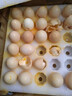 京鲜生 无抗保洁鲜鸡蛋30枚/盒 健康轻食 礼盒送礼 1.5kg/盒 源头直发 实拍图