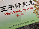 北京同仁堂 五子衍宗丸 大蜜丸 9g*10丸补肾益精肾虚精亏所致的 阳痿不育 遗精早泄 腰痛尿后余沥 男科用药 实拍图