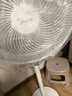 美的（Midea）电风扇 家用七叶立式落地扇宿舍卧室轻音节能摇头桌面小风扇大风力空气循环风扇 SAF30AC  实拍图