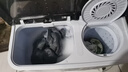 小鸭洗衣机半自动双桶双缸家用大容量小型租房宿舍波轮脱水甩干两用双杠省电老式强动力易操作以旧换新 13.5公斤 双缸 洗8.5+脱5 强劲电机终身联保 实拍图