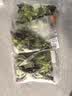 千牛优福【免洗】蔬菜沙拉套餐130g/包 开袋即食新鲜混合生菜轻食健身套餐 3袋蔬菜+6包培煎芝麻酱 实拍图