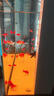 森森（SUNSUN）大型鱼缸底过滤水族箱客厅家用落地玻璃生态金鱼缸 超白款升级底滤 1米长35cm宽（黑白灰可选） 实拍图