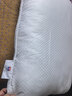 富安娜枕头芯纯棉面料成人枕酒店枕芯纤维软枕 中枕一个装74*48cm 实拍图