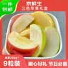 京鲜生山东三色苹果礼盒装 净重4.2斤 单果200g起 源头直发包邮 实拍图