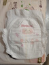 好奇（Huggies）铂金装小桃裤成长裤XL96片(12-17kg)加大号尿不湿【透爽散热】 实拍图