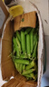 新鲜豌豆四川带壳青豆角水果甜豆荚农家蔬菜 新鲜青豌豆荚净重2斤 实拍图
