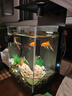 京东京造ART鱼缸多功能生态缸智能桌面鱼缸小型专业背滤一体缸礼物自循环 实拍图