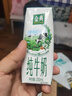 伊利【新鲜日期】金典纯牛奶早餐奶整箱250ml*16盒 3.6g乳蛋白 礼盒装 实拍图